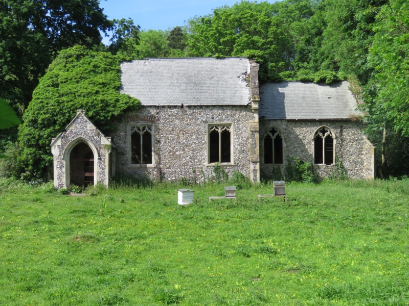 Burlingham St Peter 